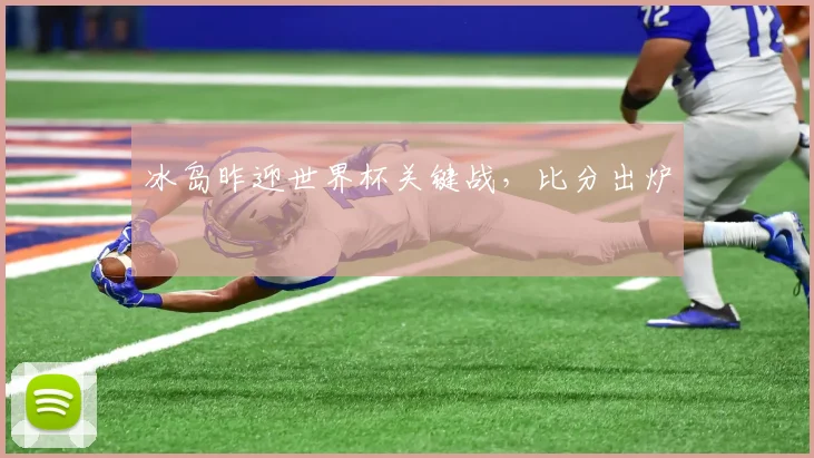 冰岛昨迎世界杯关键战,比分出炉