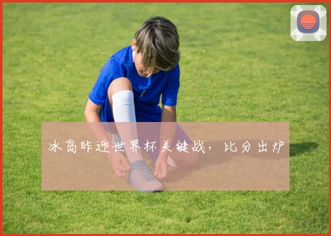 冰岛昨迎世界杯关键战,比分出炉