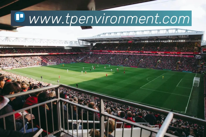 多媒体互动体验